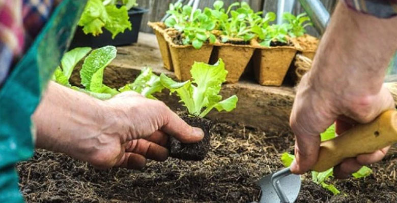 Agricultural Courses