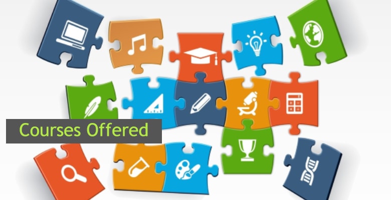 Regular Courses